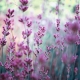 שושי גבאי – סדנת פרחי באך 15